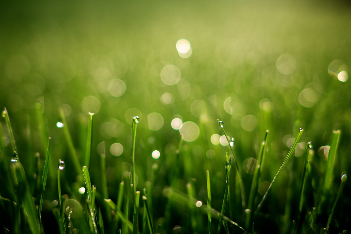 How LED Lights Help The Environment