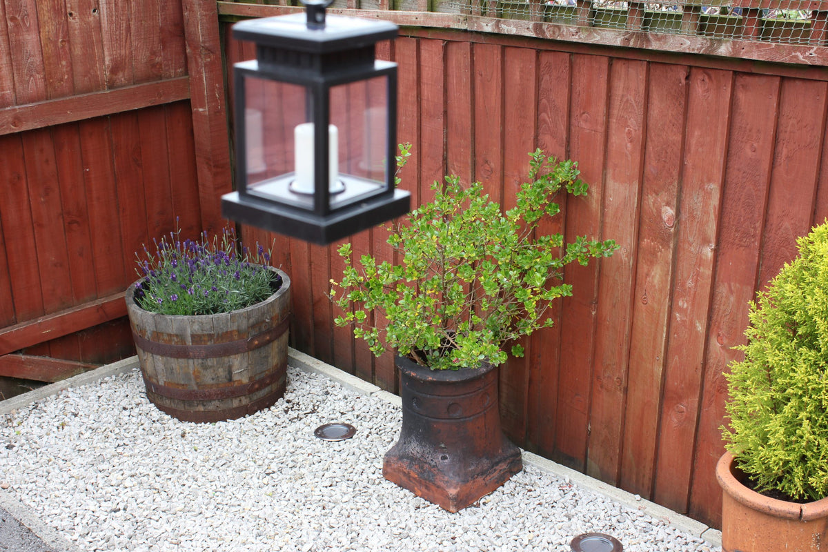 Light Up Your Garden This Summer