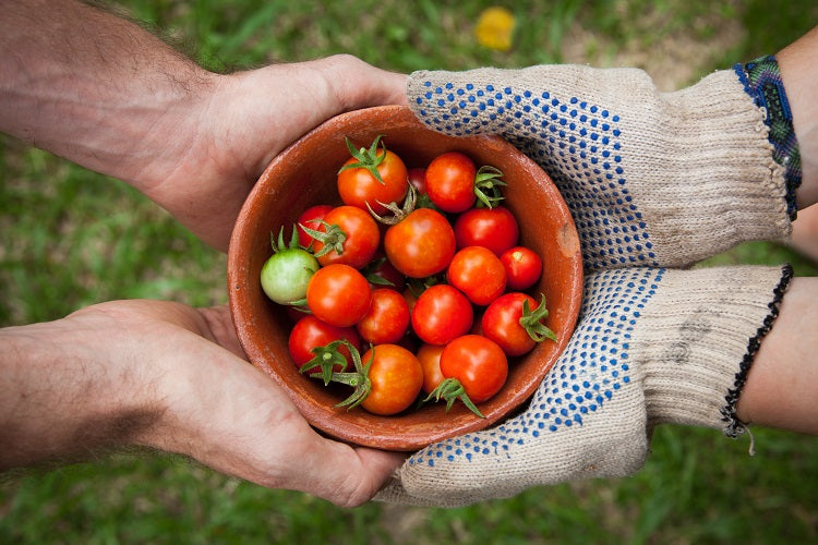 Sustainable Food