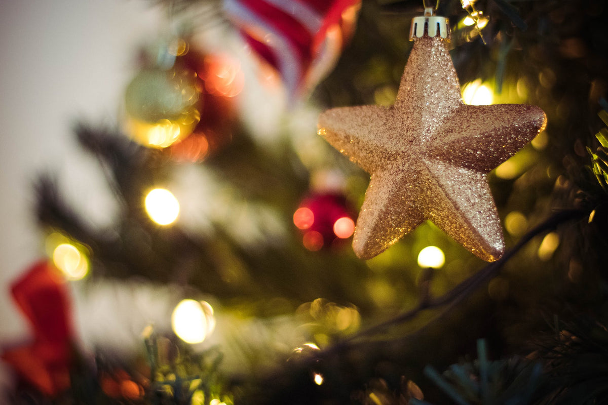 Christmas Delivery & Opening Hours