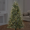 Treebright 1000 LED Christmas Tree Lights With Timer - 25m - White & Warm White